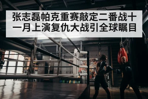 boxer training